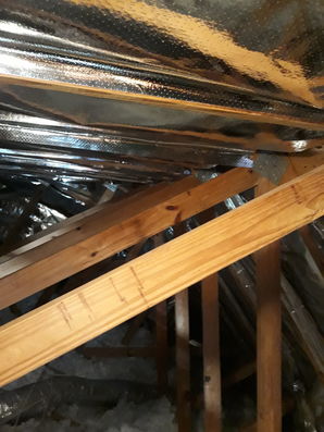 Radiant Barrier Installed in Ocala, FL (2)