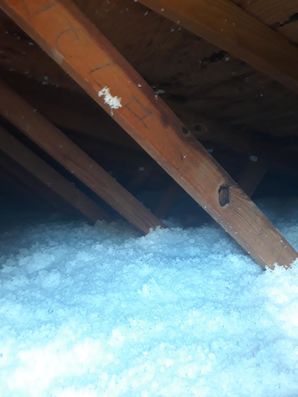 Blown-in Insulation in The Villages, FL (2)