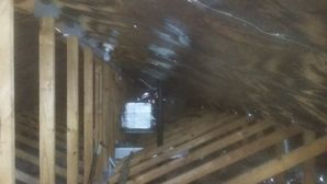 Vapor Barrier in Ocala, FL (1)