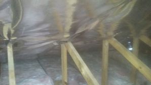 Vapor Barrier in Ocala, FL (2)