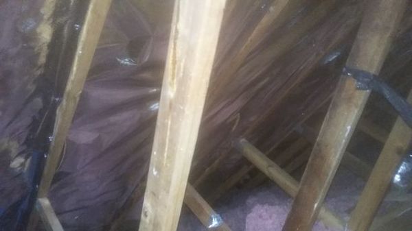 Radiant Barrier in Spring Hill, FL (1)